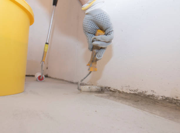 Best Pest Prevention Services  in Edwardsvle, IL